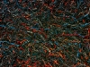 MUSIC ABSTRACT 