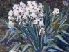 IRISES   1998