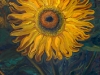 SUNFLOWER   2004