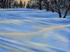 BLUE WINTER