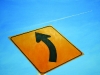 GOING IN THE RIGHT DIRECTION IS A MATTER OF PERSPECTIVE   2007