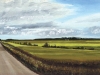 DISTANT FARMS   2008