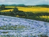 FLAX AND CANOLA