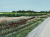 PATERSON HOPE FARM   2009