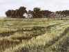FARMYARD & CREEK