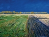 WEST LIGHT   1999