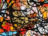 CROWS   2011