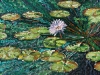 LILY PADS   1999