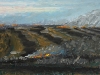 BURNING FIELDS